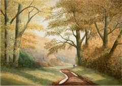 woodland-path