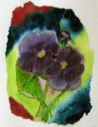 colourful-pansies